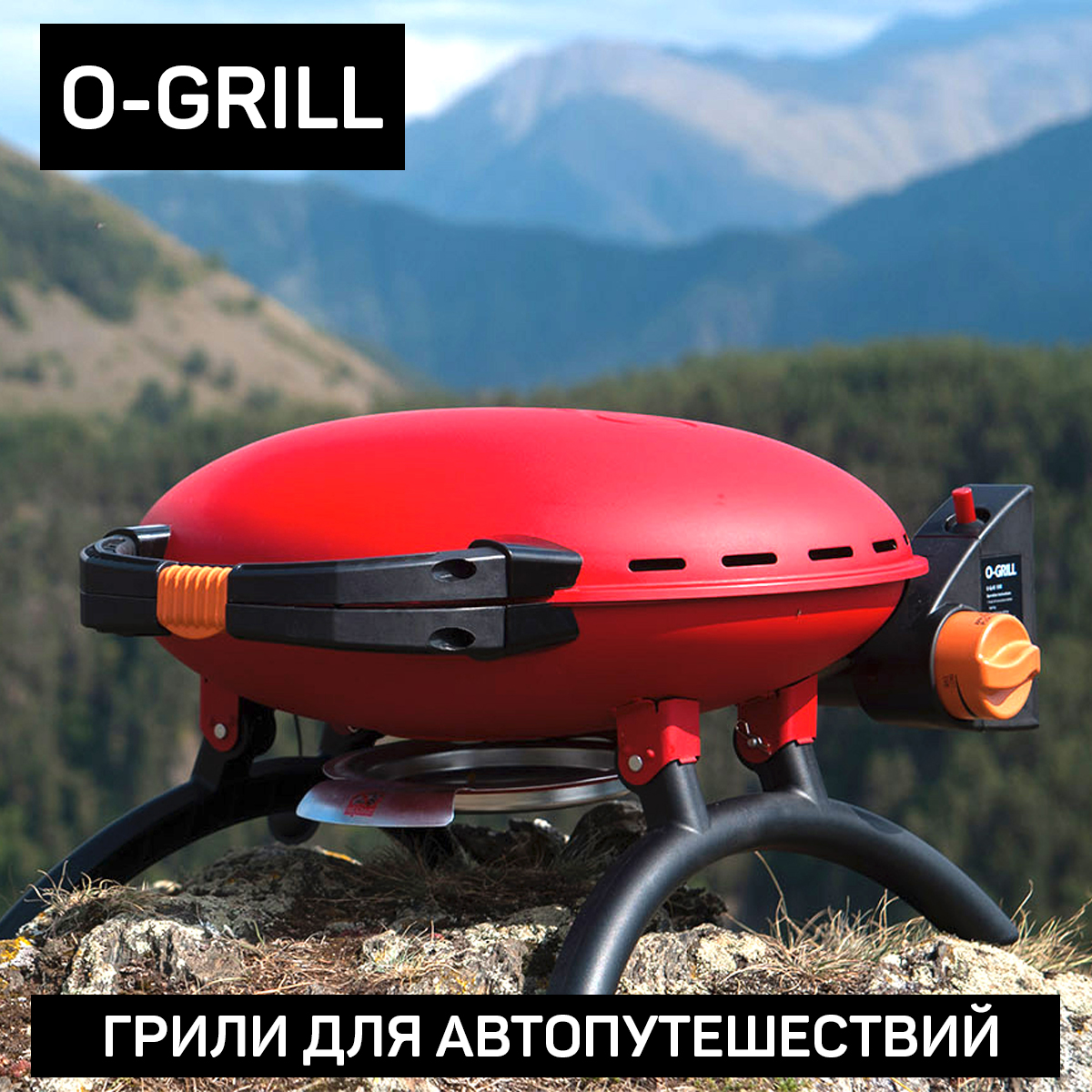 ����� ��� ���������������